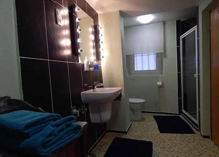 Apartment Rheinblick 1